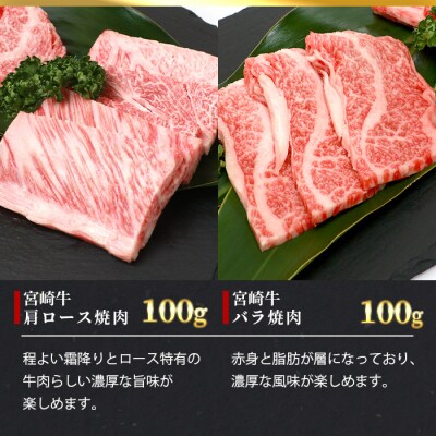 【3D冷凍】宮崎牛 6部位 食べ比べ 焼肉セット【3D冷凍技術】【急速冷凍】MT-48