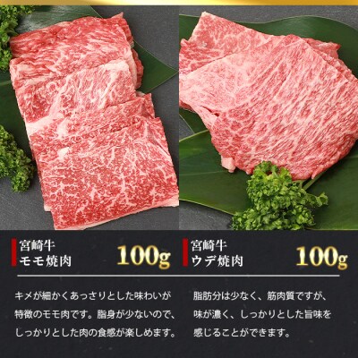 【3D冷凍】宮崎牛 6部位 食べ比べ 焼肉セット【3D冷凍技術】【急速冷凍】MT-48