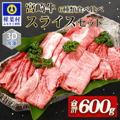 【3D冷凍】宮崎牛 6部位 食べ比べ スライスセット【3D冷凍技術】【急速冷凍】
