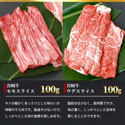 【3D冷凍】宮崎牛 6部位 食べ比べ スライスセット【3D冷凍技術】【急速冷凍】