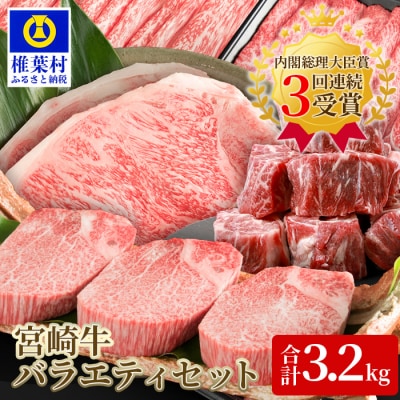 受賞歴多数!! ≪宮崎牛≫ お楽しみバラエティセット【合計3.2kg】様々なシーンで大活躍