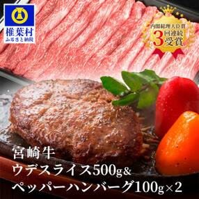 宮崎牛ウデスライス【500g】&宮崎牛100%使用 ペッパーハンバーグ【100g×2】
