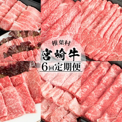 【定期便 6回】受賞歴多数!! 宮崎牛を6ヶ月で合計3.25キロ 宮崎牛づくし