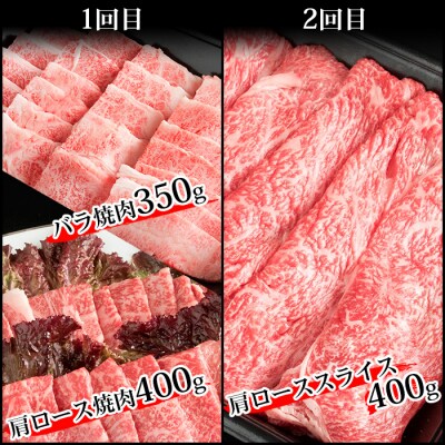 【定期便 6回】受賞歴多数!! 宮崎牛を6ヶ月で合計3.25キロ 宮崎牛づくし