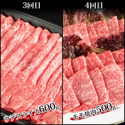 【定期便 6回】受賞歴多数!! 宮崎牛を6ヶ月で合計3.25キロ 宮崎牛づくし