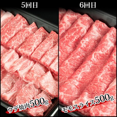 【定期便 6回】受賞歴多数!! 宮崎牛を6ヶ月で合計3.25キロ 宮崎牛づくし