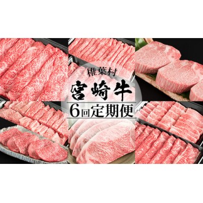 【定期便 6回】受賞歴多数!! 宮崎牛を6ヶ月で合計4.9キロ 宮崎牛づくし