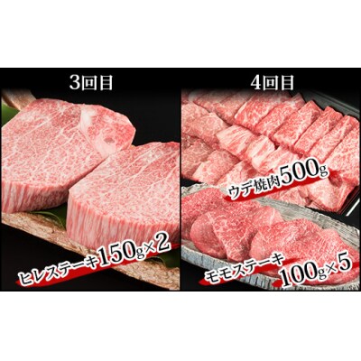 【定期便 6回】受賞歴多数!! 宮崎牛を6ヶ月で合計4.9キロ 宮崎牛づくし