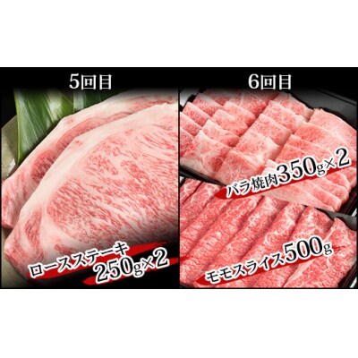 【定期便 6回】受賞歴多数!! 宮崎牛を6ヶ月で合計4.9キロ 宮崎牛づくし