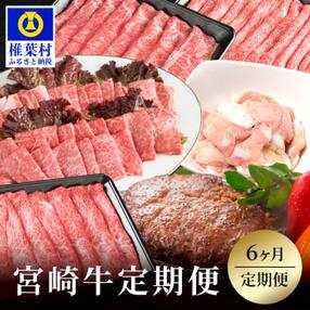 【定期便 6回】受賞歴多数!! 宮崎牛 大満足バラエティ定期便【総重量4Kg】