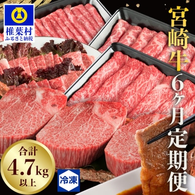  【定期便 6回】受賞歴多数!! ≪宮崎牛≫月に一度のお楽しみ定期便【総重量4.75Kg】MT-51