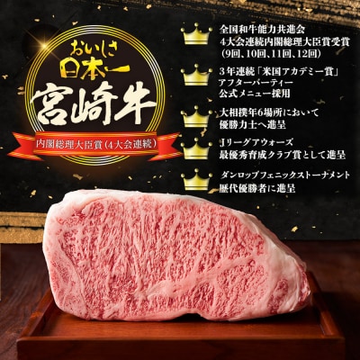  【定期便 6回】受賞歴多数!! ≪宮崎牛≫月に一度のお楽しみ定期便【総重量4.75Kg】MT-51