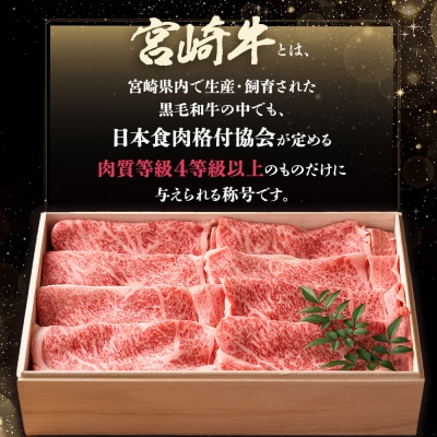  【定期便 6回】受賞歴多数!! ≪宮崎牛≫月に一度のお楽しみ定期便【総重量4.75Kg】MT-51