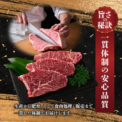  【定期便 6回】受賞歴多数!! ≪宮崎牛≫月に一度のお楽しみ定期便【総重量4.75Kg】MT-51