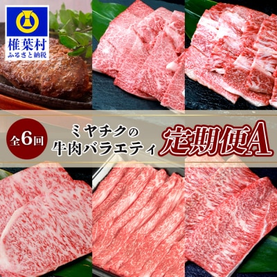 【定期便 6回】ミヤチクの牛肉バラエティ定期便A【6回配送】【宮崎牛・宮崎県産黒毛和牛】