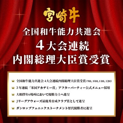 【定期便 6回】ミヤチクの牛肉バラエティ定期便A【6回配送】【宮崎牛・宮崎県産黒毛和牛】