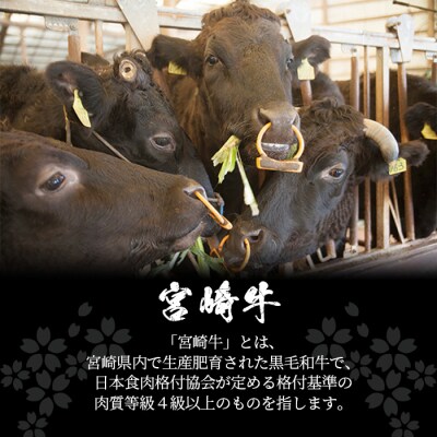 【定期便 6回】ミヤチクの牛肉バラエティ定期便A【6回配送】【宮崎牛・宮崎県産黒毛和牛】