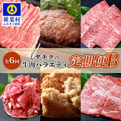 【定期便 6回】ミヤチクの牛肉バラエティ定期便B【6回配送】【宮崎牛・宮崎県産黒毛和牛】