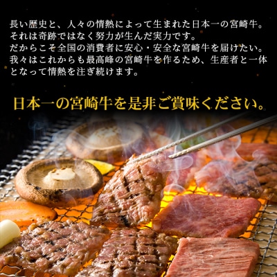 【定期便 6回】ミヤチクの牛肉バラエティ定期便B【6回配送】【宮崎牛・宮崎県産黒毛和牛】