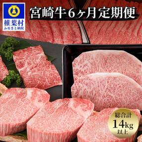 【定期便 6回】受賞歴多数!! 宮崎牛 大満足のバラエティ定期便【総合計 14キロ以上】