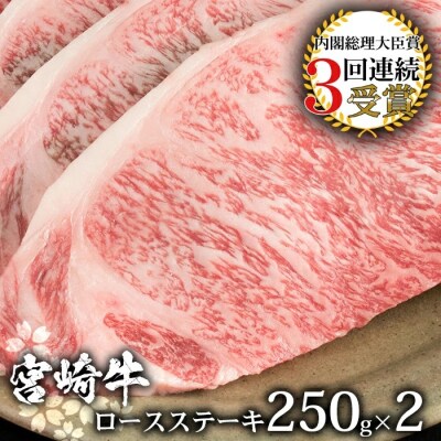 受賞歴多数!! 宮崎牛 ロースステーキ 250g×2【合計500g】MT-41