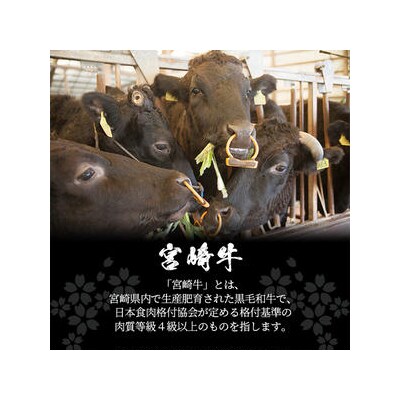 受賞歴多数!! 宮崎牛 ロースステーキ 250g×2【合計500g】MT-41