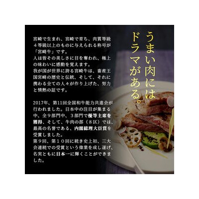 受賞歴多数!! 宮崎牛 ロースステーキ 250g×2【合計500g】MT-41