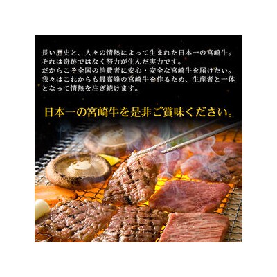 受賞歴多数!! 宮崎牛 ロースステーキ 250g×2【合計500g】MT-41