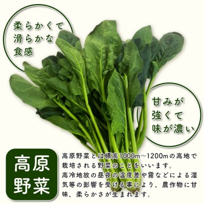 【秘境・椎葉村】はまちゃん農園の美味しいほうれん草 150g×5袋(合計750g)