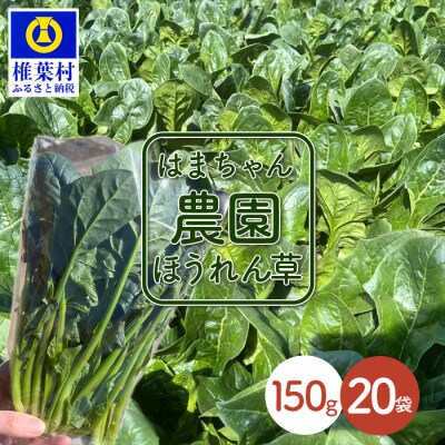 【秘境・椎葉村】はまちゃん農園の美味しいほうれん草 150g×20袋(合計3kg)