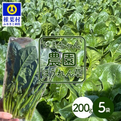 【秘境・椎葉村】はまちゃん農園の美味しいほうれん草 200g×5袋(合計1kg)