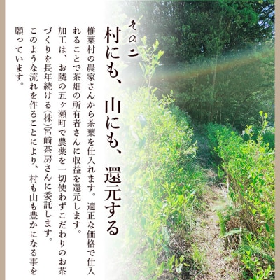【日本三大秘境】宮崎県椎葉産茶葉100% 釜炒り茶 緑茶 ティーバッグ 3g×5パック MS-02