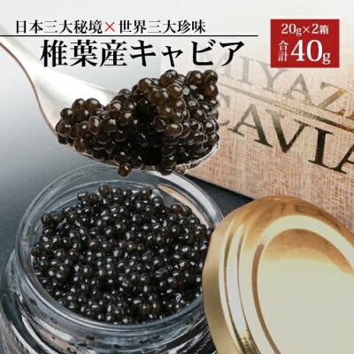 【桐箱入り】HEIKE CAVIAR 40g 【宮崎県 椎葉村】フレッシュキャビア SZ-105
