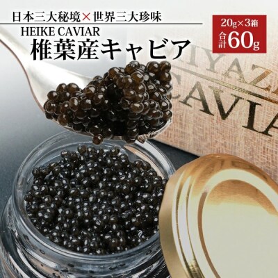 【桐箱入り】HEIKE CAVIAR 60g 【宮崎県 椎葉村】フレッシュキャビア SZ-107