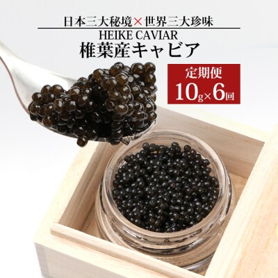 【桐箱入り】【6か月合計】HEIKE CAVIAR 60g 【宮崎県 椎葉村】フレッシュキャビア