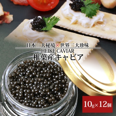 HEIKE CAVIAR キャビア 10g×12個【合計120g】