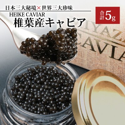 【桐箱入り】HEIKE CAVIAR キャビア 5g SZ-118