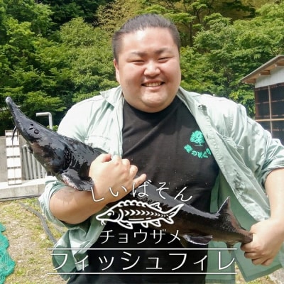 【宮崎県 椎葉産】キャビアフィッシュフィレ 1尾【800g～1.2Kg】 チョウザメ フィレ肉