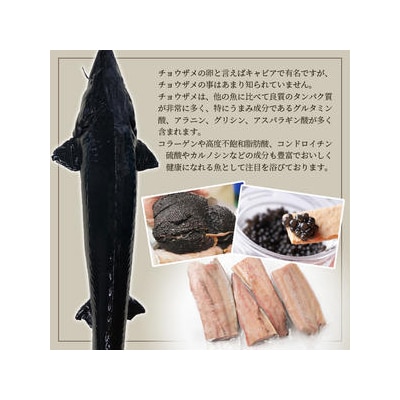 【宮崎県 椎葉産】キャビアフィッシュフィレ 1尾【800g～1.2Kg】 チョウザメ フィレ肉