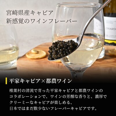 【世界三大珍味×日本三大秘境】HEIKE CAVIAR ワインキャビア 20g【産地直送・桐箱入り】