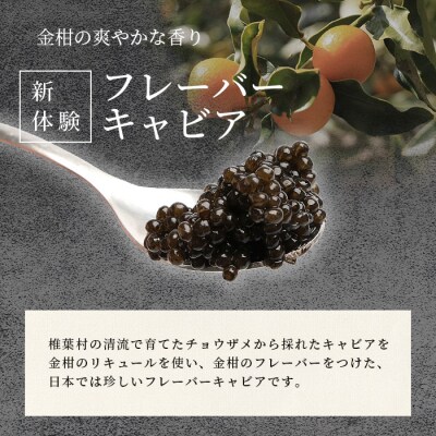 【世界三大珍味×日本三大秘境】HEIKE CAVIAR3種食べ比べセット20g×3【簡易包装】