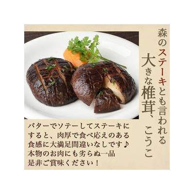 【特撰】 椎葉村産 乾し椎茸 香菇 (こうこ) 170g【森のステーキ】JA-30