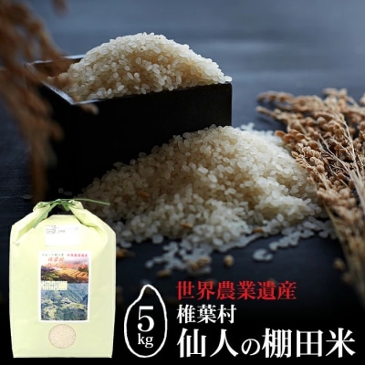 仙人の棚田米【5kg】椎葉産 JA-25 | ふるさと納税のお礼品