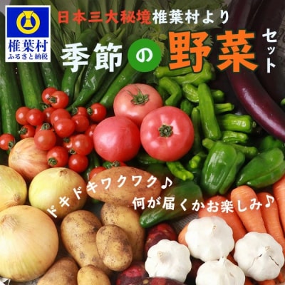 【先行受付】日本三大秘境 椎葉村産の季節野菜セット【2024年7月~8月配送】JA-28