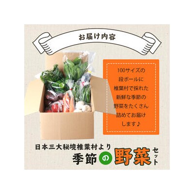 【先行受付】日本三大秘境 椎葉村産の季節野菜セット【2024年7月~8月配送】JA-28
