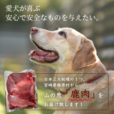 《さとふる限定》【愛犬用】秘境・椎葉村産の天然鹿肉3kg【森林率96%の山の恵み】
