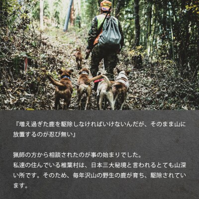 《さとふる限定》【愛犬用】秘境・椎葉村産の天然鹿肉3kg【森林率96%の山の恵み】