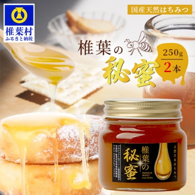 【秘境を味わう】椎葉の秘蜜 【250g×2本】国産天然はちみつ【数量限定】 MS-06