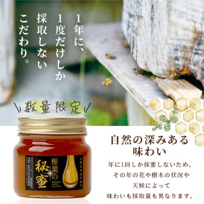 【秘境を味わう】椎葉の秘蜜 【250g×2本】国産天然はちみつ【数量限定】 MS-06