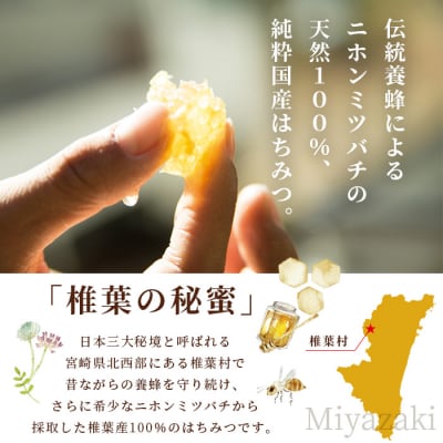 【秘境を味わう】椎葉の秘蜜 【250g×2本】国産天然はちみつ【数量限定】 MS-06